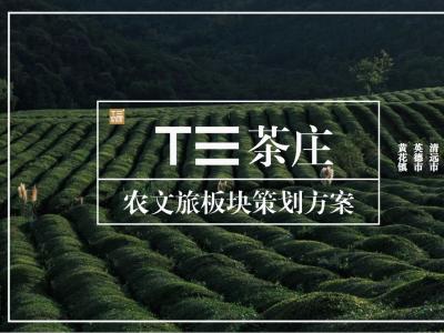 T3茶庄农文旅板块策划方案
